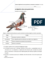 Relação entre o Sistema Digestivo das Aves Granívoras - Ruminantes - Omnívoros - Resumo