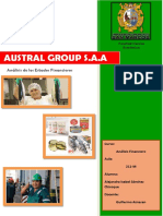 296030476-Analisis-de-Los-E-F-de-Austral-Group.docx