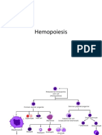 HEMOPOESIS