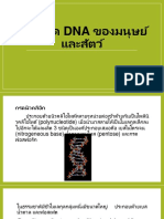 Dna