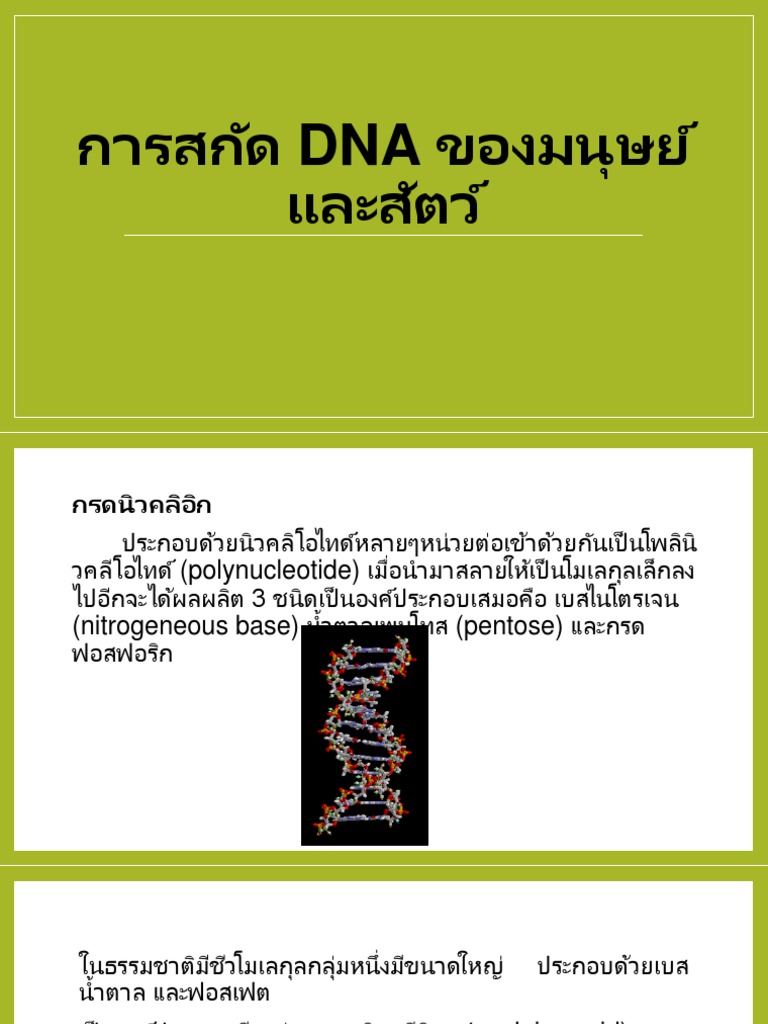 Dna | PDF