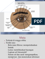 Histo Mata Dan Mammae