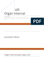 144428_Regio Colli - Organ Internal