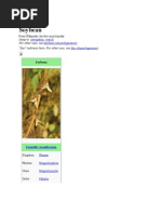 Download Soybean by dmelloashley SN39468629 doc pdf