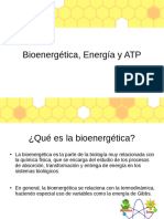 Bioenergética, Energía y ATP