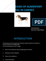 Viral Diseases of Alimentary Canal in Canines