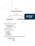 ЦЕНТРАЛЕН НЕРВЕН СИСТЕМ.docx