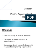 What Is Organizational Behavior?