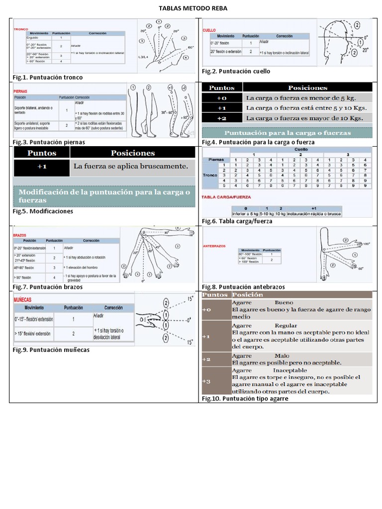 Tablas del Método REBA | PDF | Deportes y actividades al aire libre ...