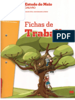 Fichas de Trabalho Estudo Do Meio 3 Ano PDF