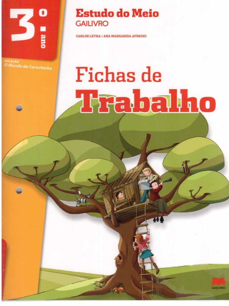 Fichas De Trabalho Estudo Do Meio 3 Ano Pdf Pdf