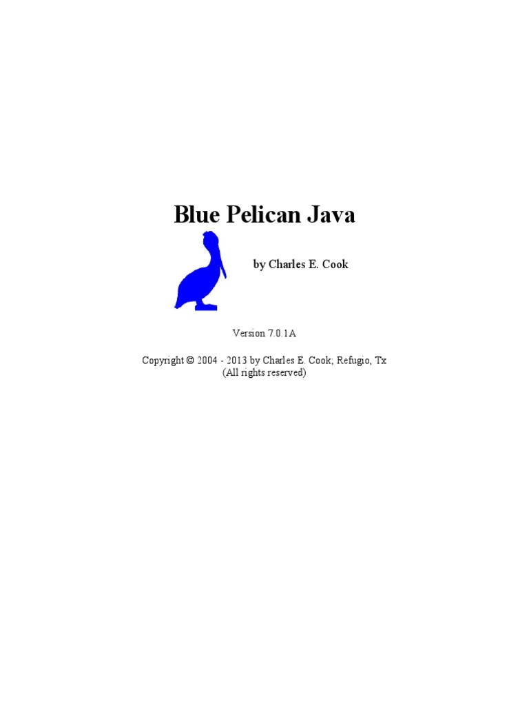 Blue Pelican | PDF | Boolean Data Type | Integer (Computer Science)