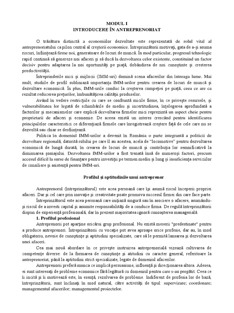 Plan de Afaceri Model PDF