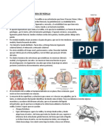 Patologia de Rodilla