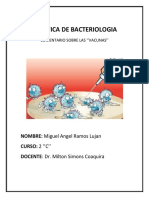 Bacterio