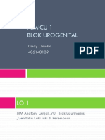 Pemicu 1 Blok Urogenital