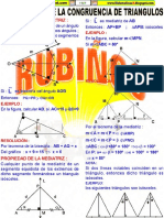 Rubiños Adct 1 PDF