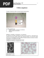 Células sanguíneas