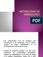 Tema 7 - Metabolismo de Aminoacidos