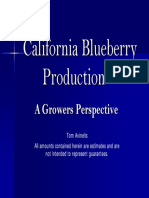 California Blueberry Production