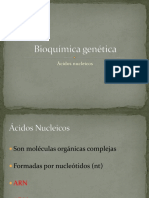 Tema 10 - Bioquímica Genética