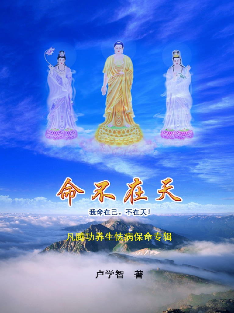 命不在天 卢学智文字版