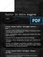 KULTUR IN VITRO ANGGRAK