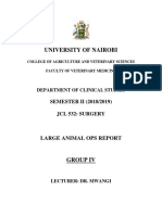 Rumenotomy Report Sample