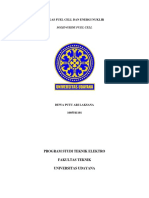 Solid Oxide Fuel Cell