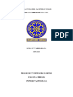 Solid Oxide Fuel Cell