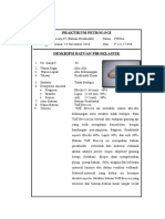 Acara 7 Petrologi Firna