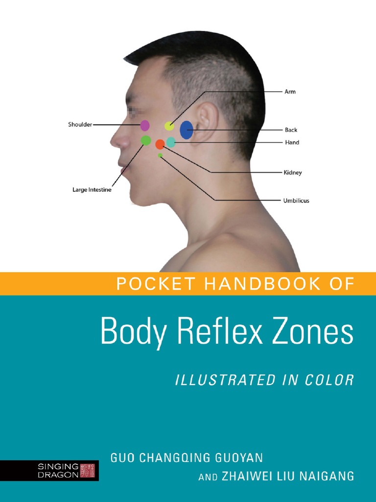 Body Reflex Zones | PDF | Neck | Vertebral Column