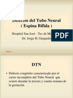 Defec Tubo Neural