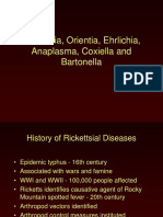Intracellular Obligat - Ricketsia Family