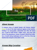 Assam PPT