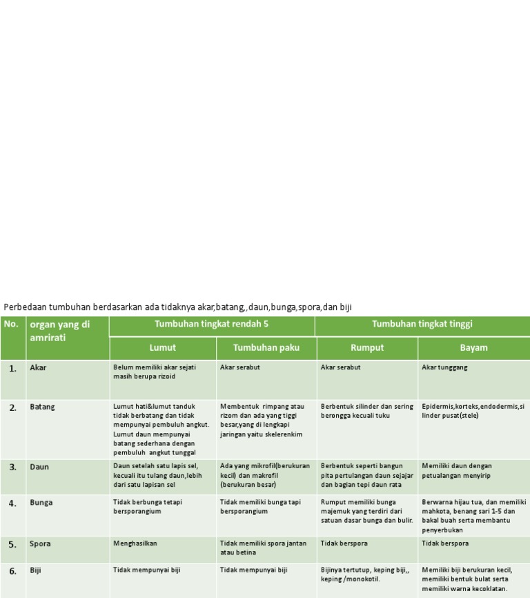 Perbedaan Tumbuhan Berdasarkan Ada Tidaknya Akar Batang Daun Bunga Spora Dan Biji