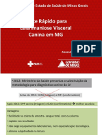 Treinamento DPP