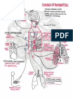 Respiratory