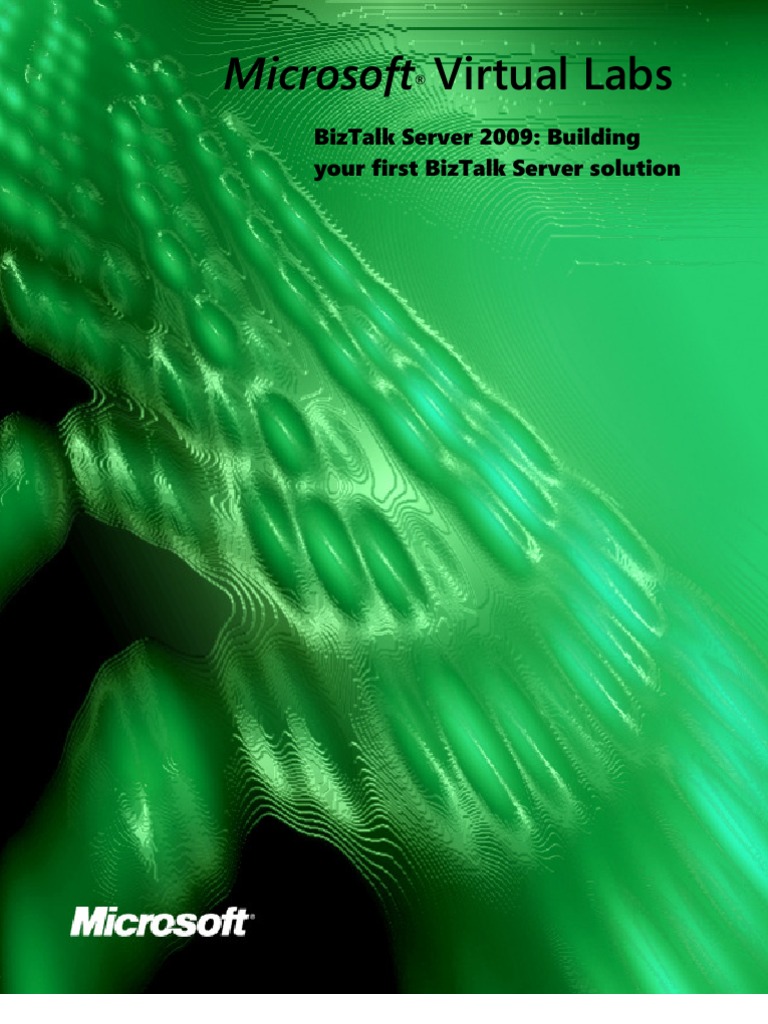 Microsoft Virtual Labs: Biztalk Server 2009: Building Your First ...