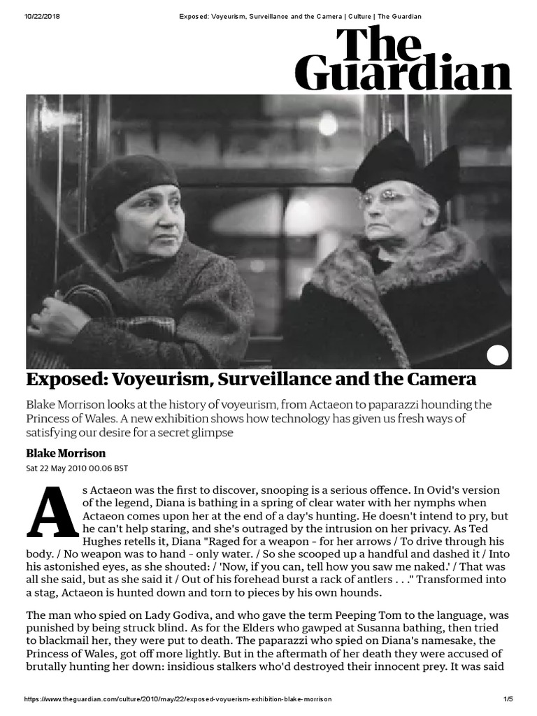 Exposed - Voyeurism, Surveillance and The Camera - Culture