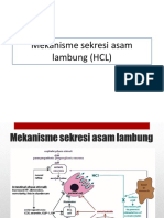 Mekanisme Sekresi Asam Lambung (HCL)