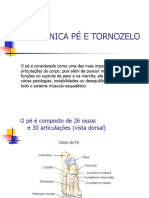 tornozelo-e-pé-Cópia.pdf