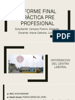 Informe Final Práctica Pre Profesional