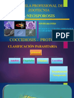 neosporosis jhoms.pptx