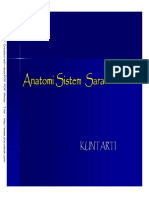 Anatomi Saraf.pdf