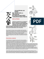 Nº 11 Aplicacion de Los Principios Del TCC A La Prevencion de Caidas en Adultos Mayores