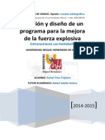 Rafael Titos Tripiana PDF