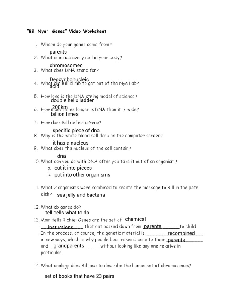 Hamza Ouriour Bill Nye Genes Gene Dna