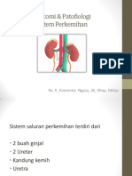 02naskah Publikasi