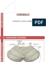 24 - Cerebelo - Neuroanatomía - Roberto León Correa